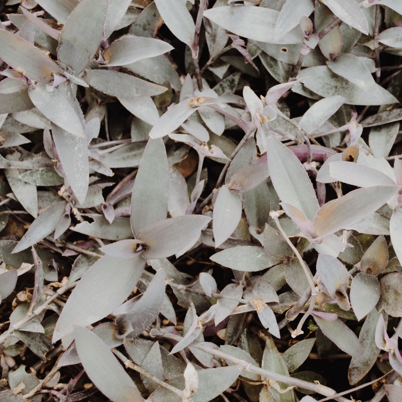 Sustainability Matters